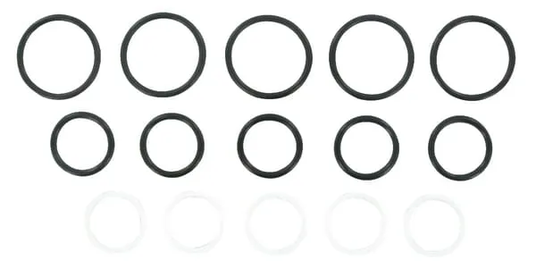 Gasket set for SKS-F-12 (5x)