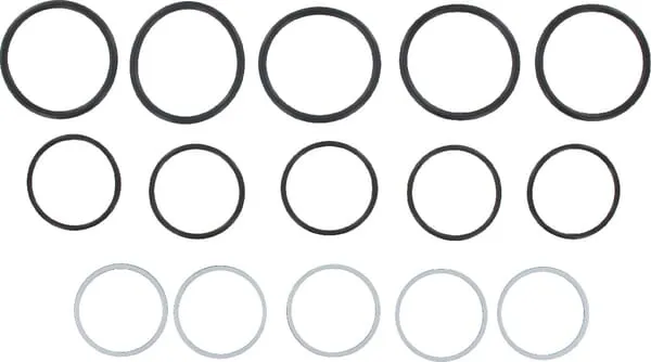 Gasket kit for SKS-F-25 (5x)