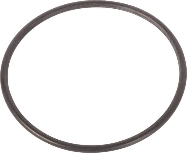 O-ring