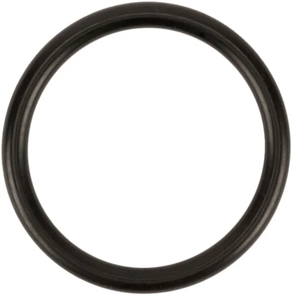 O-kroužek D31,34 (RIF.4125)