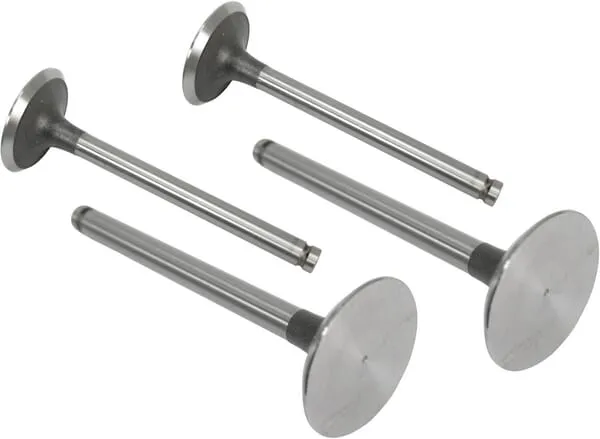 Vstupní ventil (x4)