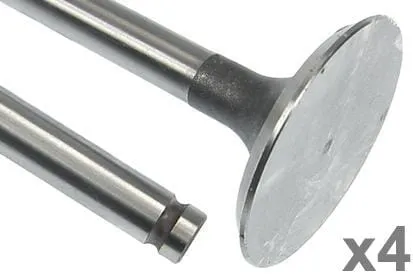 Sací ventil (x4)