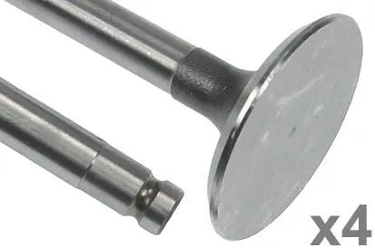 Sací ventil (x4)