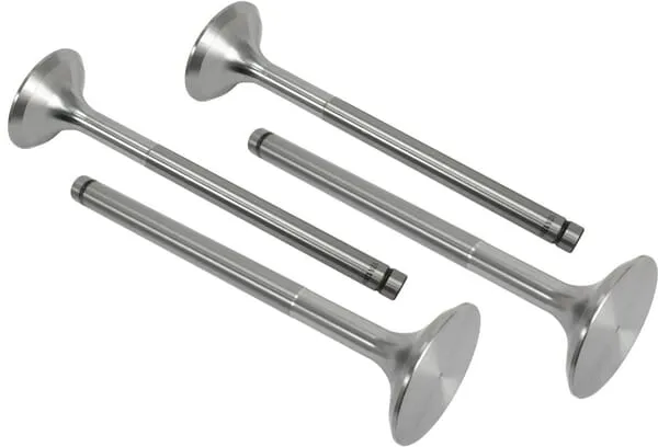 Vstupní ventil (x4)