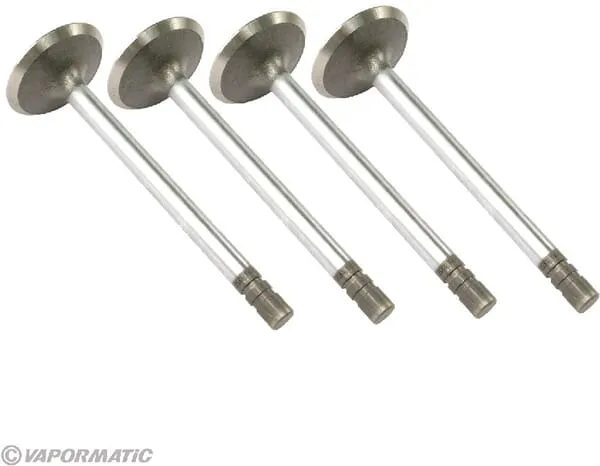 Sací ventil (x4)