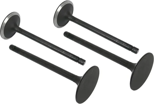 Ventil (x4)