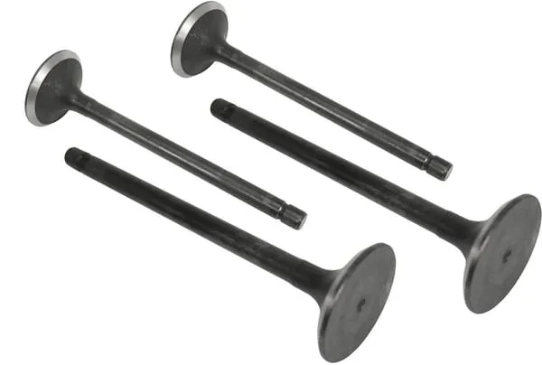 Výfukový ventil (x4)
