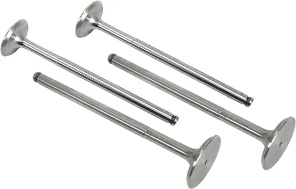 Vstupní ventil (x4)