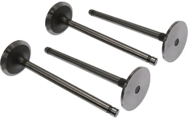 Sací ventil (x4)