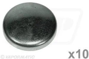 Záslepka jádra (x10)