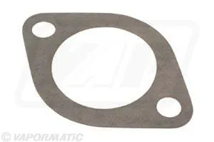 Těsnění tělesa termostatu (x10)
