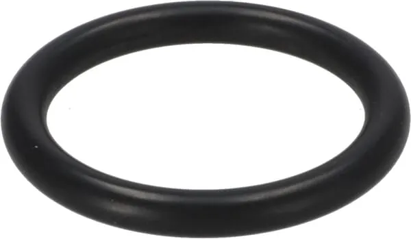 O-kroužek olejového čerpadla