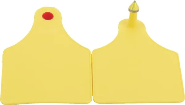 Náušnice kompletní žlutá