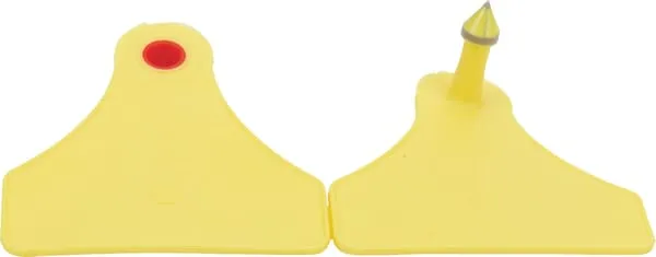 Náušnice kompletní žlutá F