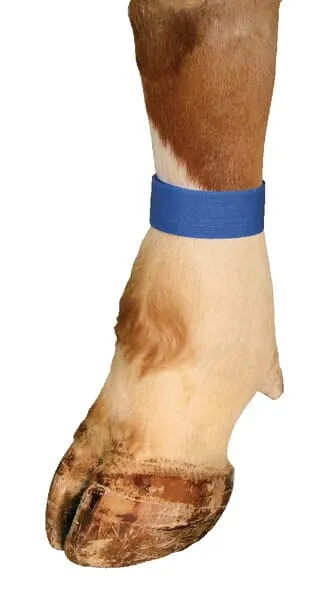 Identifikační pásky na suchý zip, modré, 10 ks