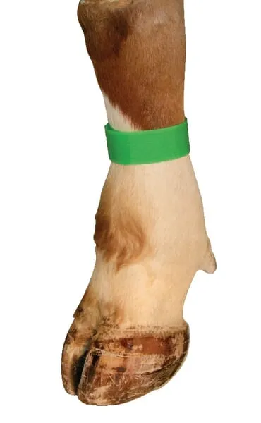 Označovací pásky zelená Klettv. (10 ks v HB)