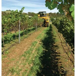 Stroje na sběr hroznů