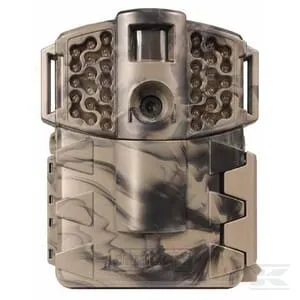 Lovectví, myslivectví