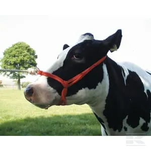 Chov zvířat dle druhu