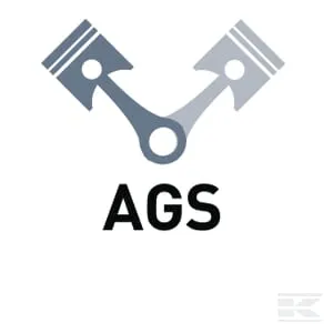 AGS