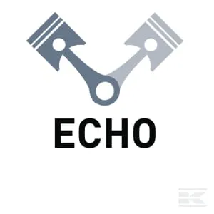 Echo