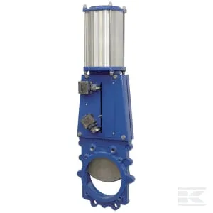 RAMUS - Gate Valves